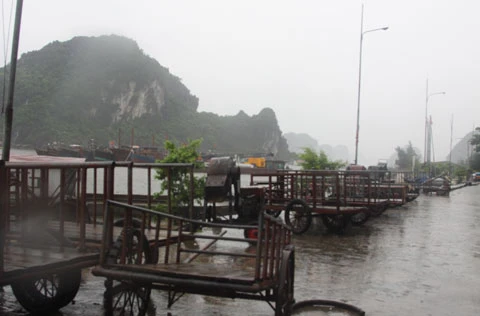 bão; Vân Đồn; Quảng Ninh