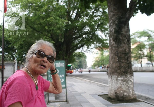 Người Hà Nội tiếc nuối hàng chục cây cổ thụ sắp bị chặt bỏ 6