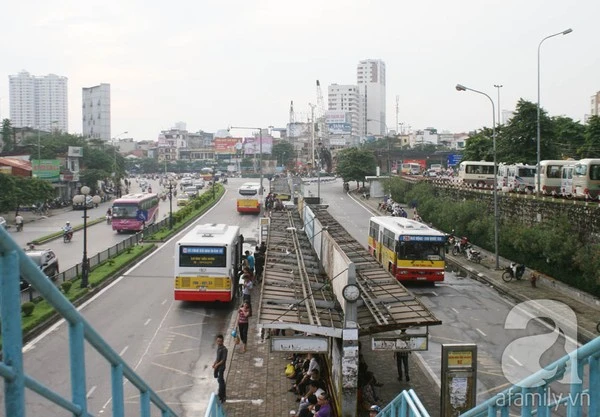 Người Hà Nội tiếc nuối hàng chục cây cổ thụ sắp bị chặt bỏ 15