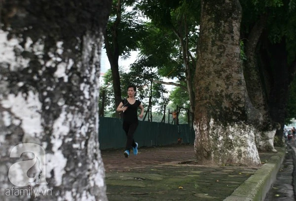 Người Hà Nội tiếc nuối hàng chục cây cổ thụ sắp bị chặt bỏ 7