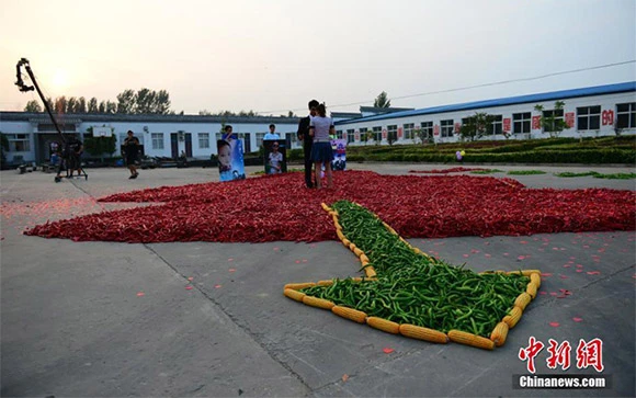 Chàng trai mang... 99.999 quả ớt đi cầu hôn bạn gái ảnh 3