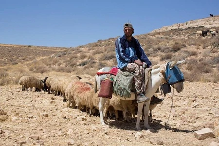 Nhiếp ảnh gia Brandon Stanton