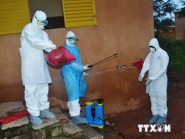 Nhật Bản tìm ra cách xác định virus Ebola trong vòng 30 phút ảnh 1