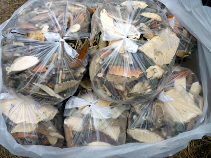 4 người nguy kịch vì dùng thuốc thầy lang