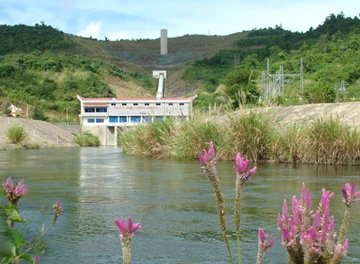 Huy động mọi nguồn điện để giảm nhập từ Trung Quốc ảnh 2