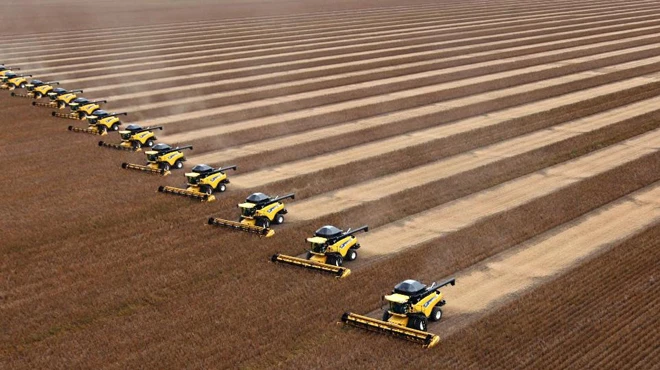 Thảm kịch khi trái đất nóng lên ảnh 4