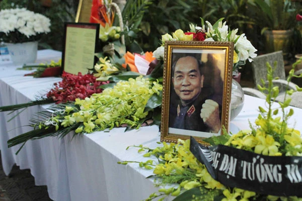 Đại tướng, Võ Nguyên Giáp