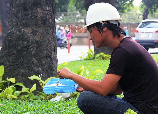Hot: Sài Gòn lại sắp chia tay hàng cây trăm tuổi ảnh 5 Hot: Sài Gòn lại sắp chia tay hàng cây trăm tuổi ảnh 5