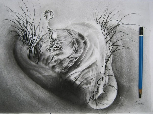 9x vẽ Sơn Tùng M-TP bằng bút bi sống động như thật 16