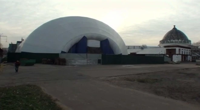 Hai chú cá voi sát thủ 'phát điên' vì bị giam quá lâu ảnh 1