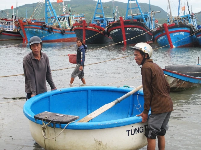 Bộ trưởng Cao Đức Phát chỉ đạo công tác ứng phó bão tại Bình Định, Phú Yên ảnh 3
