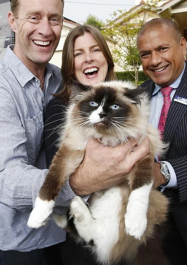 Năm 2014, các 'đại gia' trên thế giới tiêu tiền 'điên rồ' thế nào? 5