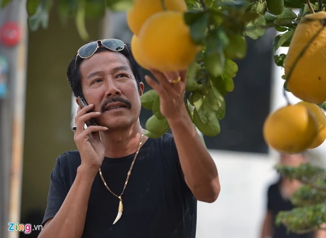 Cây bưởi 68 quả dáng cổ thụ độc trăm triệu chưa bán 2