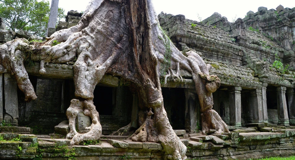 Chụp ảnh khỏa thân trong đền: 2 nữ du khách bị bắt giữ ảnh 2