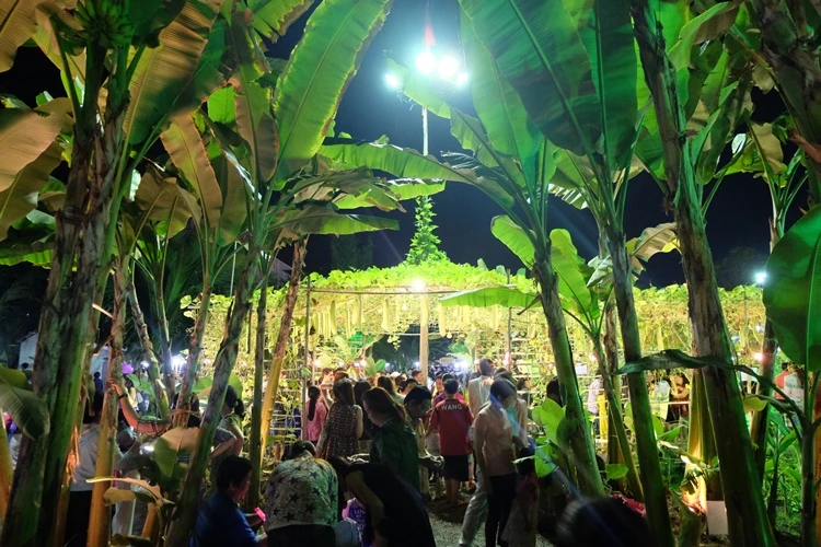 Du xuân ngắm 'làng quê' ở hội hoa xuân Phú Mỹ Hưng ảnh 19