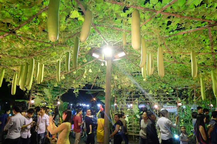 Du xuân ngắm 'làng quê' ở hội hoa xuân Phú Mỹ Hưng ảnh 13