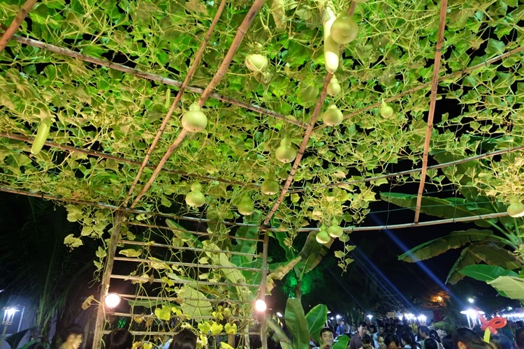 Du xuân ngắm 'làng quê' ở hội hoa xuân Phú Mỹ Hưng ảnh 14