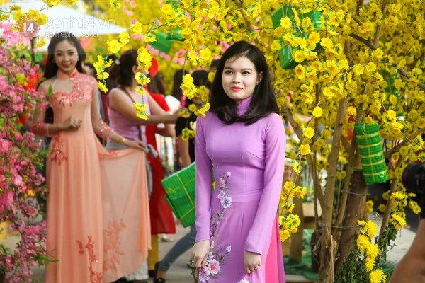 Sài Gòn tấp nập đến đường mai, phố ông đồ chụp ảnh ảnh 1