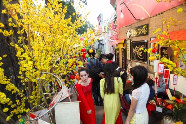 Sài Gòn tấp nập đến đường mai, phố ông đồ chụp ảnh ảnh 8