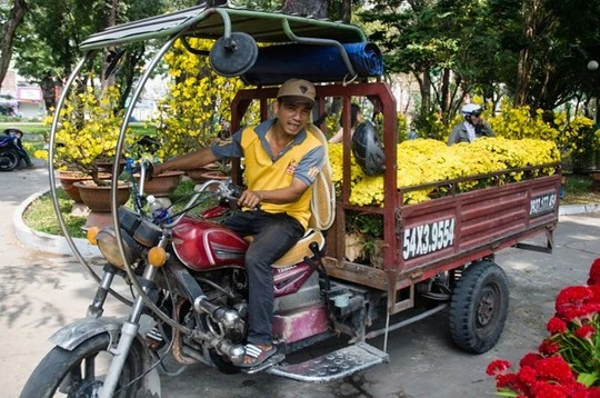 Nếu khách mua một cặp, giá chỉ còn 30.000 đồng/cặp. Giá quá rẻ, nhiều người còn thuê cả xe ba gác để chở hoa.
