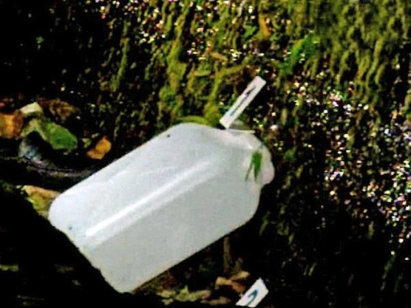 Thiếu niên tự thiêu vì bị bố bắt dừng chơi điện tử đi ngủ ảnh 3