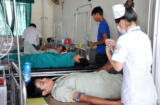 Dừng đi tiểu bên đường, 22 người bị ong đốt