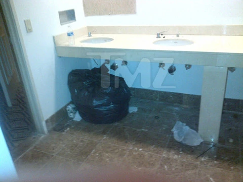 “Sao nữ đẹp nhất thế giới” bị trộm trả lại váy vì đính ngọc trai giả ảnh 3