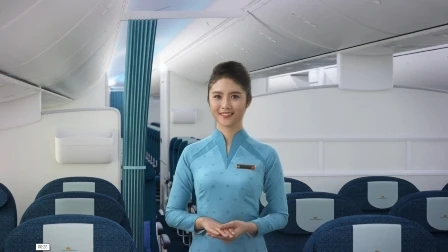 Đồng phục mới của tiếp viên Vietnam Airlines bị chê quá xấu ảnh 3
