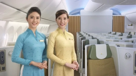 Đồng phục mới của tiếp viên Vietnam Airlines bị chê quá xấu ảnh 4