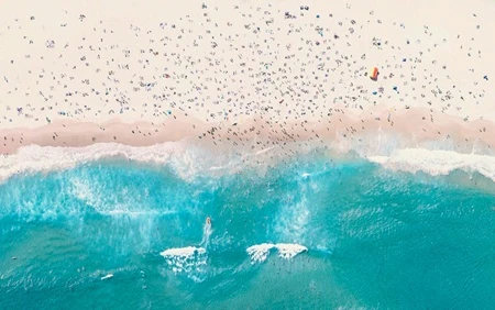 Bondi là một trong những bãi biển quyến rũ nhất ở xứ sở chuột túi