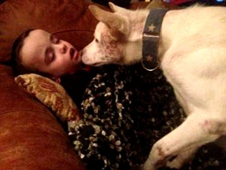 Cuộc giải cứu chú chó khỏi quán nhậu Việt Nam lên báo Anh