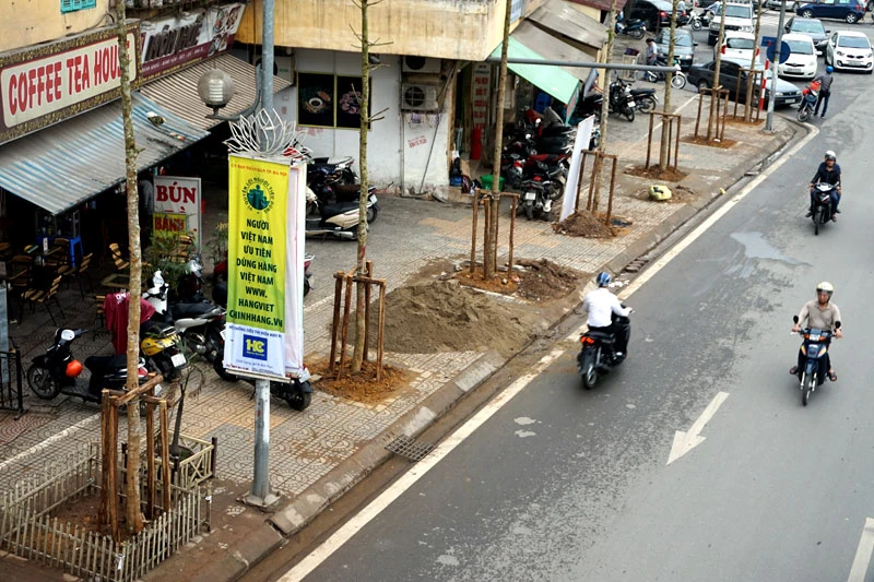 cây xanh; 6.700 cây; Hà Nội; chặt hạ