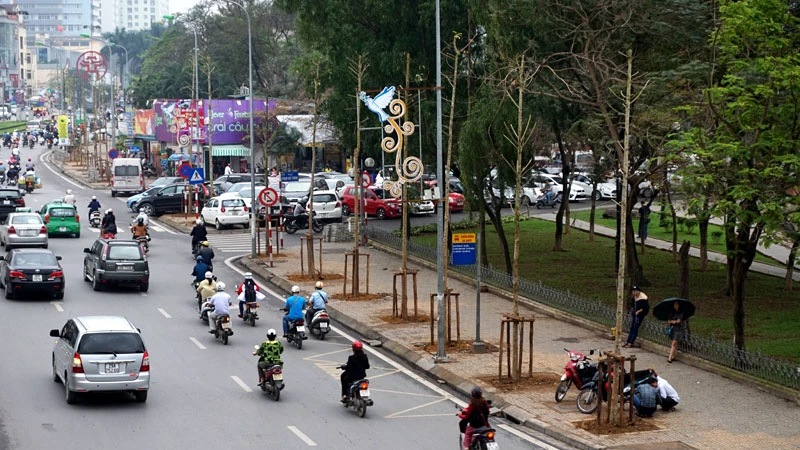 cây xanh; 6.700 cây; Hà Nội; chặt hạ