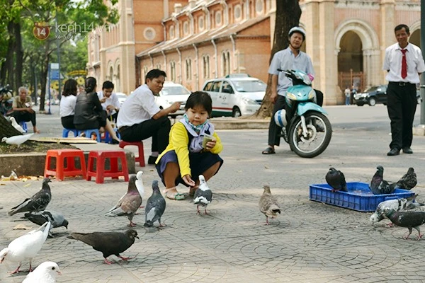 Chuyện về đàn chim bồ câu nổi tiếng ở nhà thờ Đức Bà Sài Gòn ảnh 4