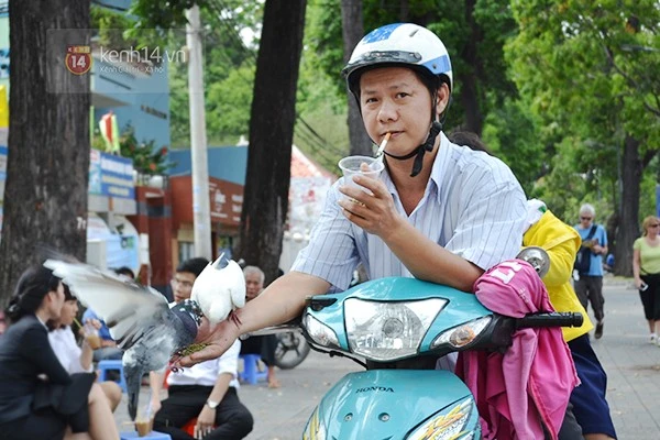 Chuyện về đàn chim bồ câu nổi tiếng ở nhà thờ Đức Bà Sài Gòn ảnh 5