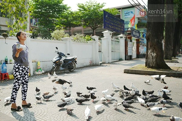 Chuyện về đàn chim bồ câu nổi tiếng ở nhà thờ Đức Bà Sài Gòn ảnh 2