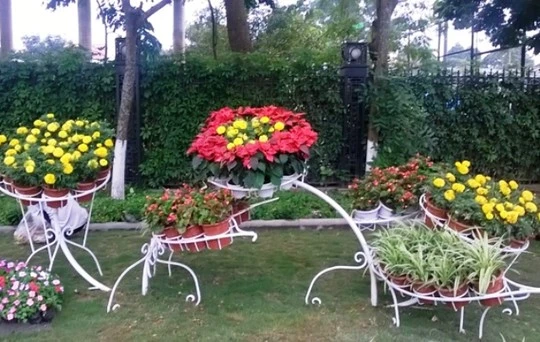 Thanh Hóa bỏ 3 tỉ đồng làm đường hoa đón năm du lịch