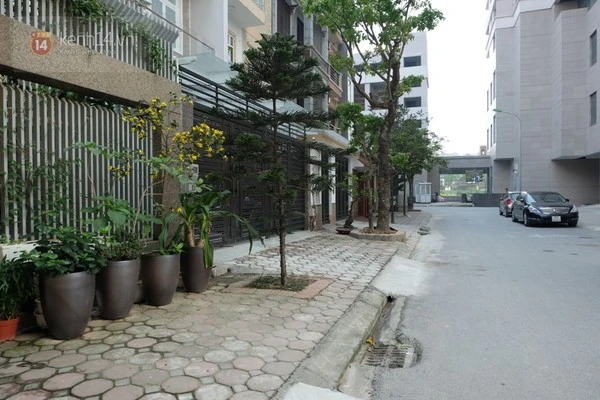 Can ngăn chó cắn nhau đến chết, người đàn ông bị đánh dã man ảnh 4