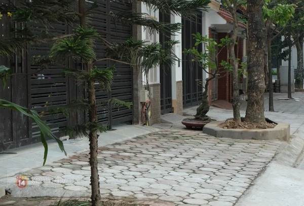 Can ngăn chó cắn nhau đến chết, người đàn ông bị đánh dã man ảnh 5