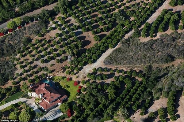 Ghé thăm những ốc đảo nhân tạo của đại gia Mỹ ảnh 8