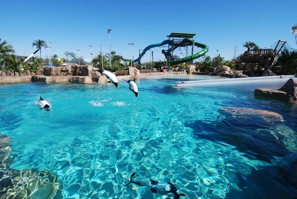 Mê mẩn với những công viên nước hoành tráng nhất thế giới ảnh 3