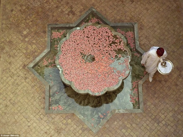 Chiêm ngưỡng nơi tổ chức sinh nhật đẹp như cung điện của David Beckham ảnh 11