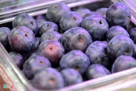 bắp cải tí hon, tí hon, việt quất, ớt chuông, dâu tây vàng, bà nội trợ, Thủ đô, bắp-cải-tí-hon, tí-hon, việt-quất, ớt-chuông, dâu-tây-vàng, bà-nội-trợ, Thủ-đô