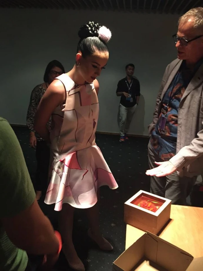 10563191_1010744512270528_5241747021322332654_n