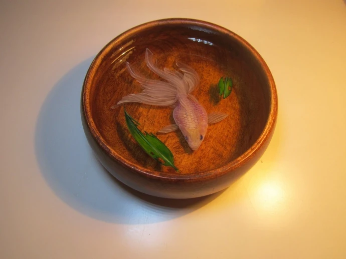 11242332_1011549748856671_1357845987_o