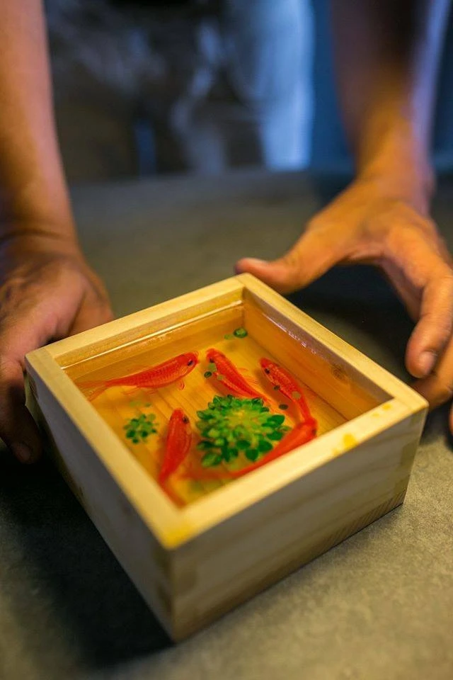 11272144_1011549528856693_791323401_n