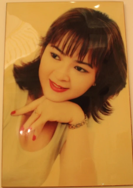 Dũng lò vôi, Huỳnh Uy Dũng, Hằng Canada, Bình Dương, kiện cáo, Phương Hằng, Dũng-lò-vôi, Huỳnh-Uy-Dũng, Hằng-Canada, Bình-Dương, kiện-cáo, Phương-Hằng,