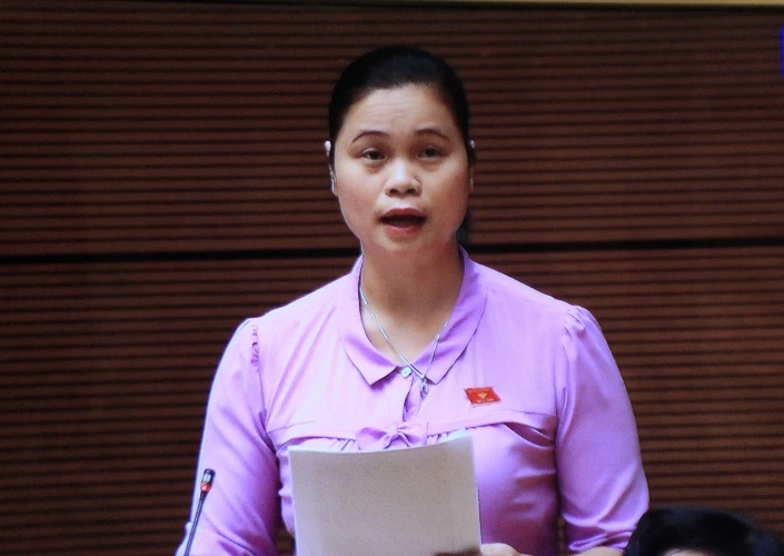 'Bỏ án tử hình tội tham nhũng xã hội sẽ loạn' ảnh 1