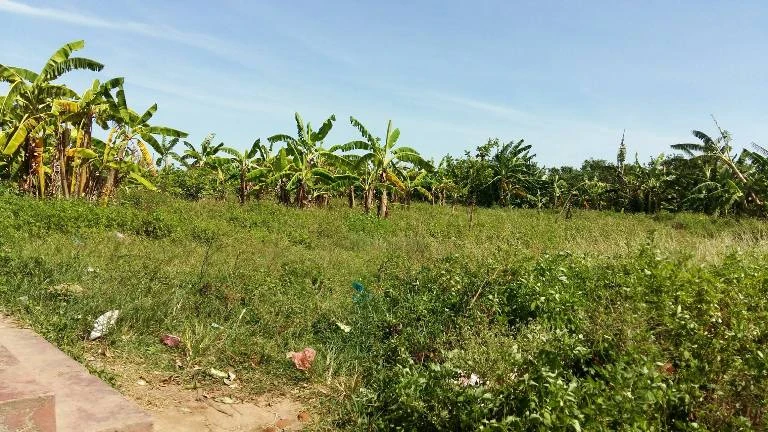 Chùm ảnh gia đình ông Đoàn Văn Vươn vui mừng nghe tin đặc xá ảnh 10