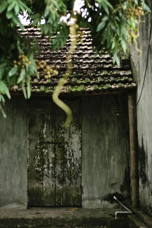 Những câu chuyện kỳ bí quanh ngôi nhà Bá Kiến